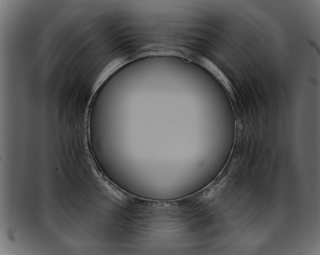 X0000094911002200711290956