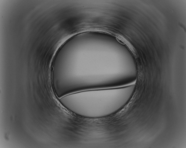 X0000094911004200711290956