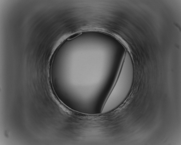 X0000094911005200711290955