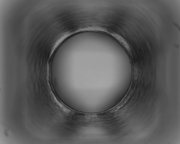X0000094911006200711290955