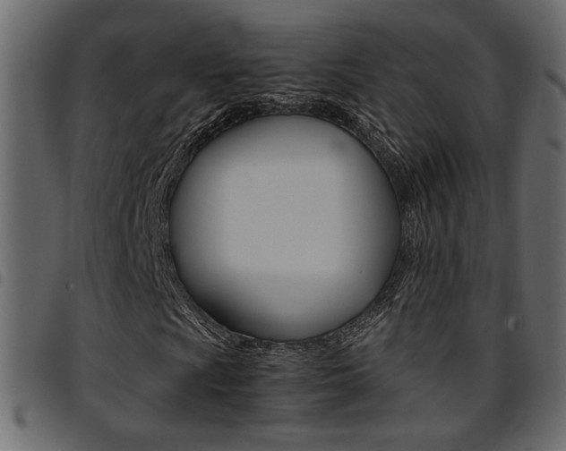 X0000094911009200711290955