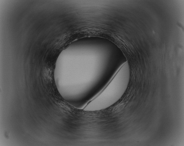 X0000094911010200711290955