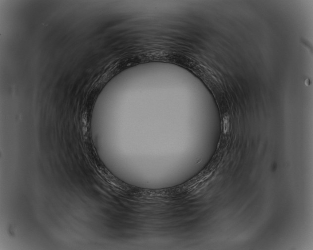 X0000094911011200711290955