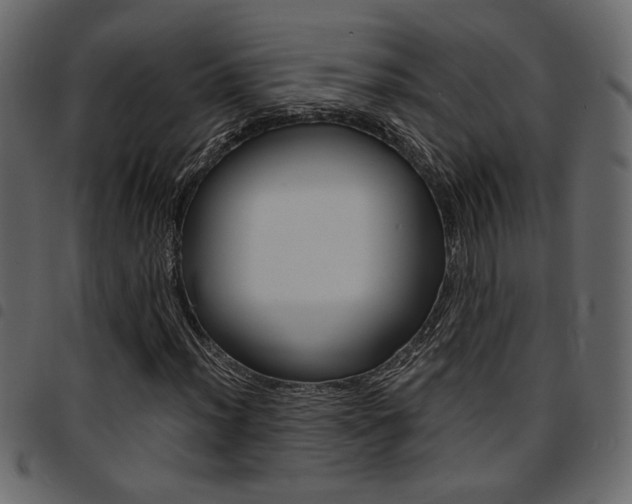 X0000094911012200711290955