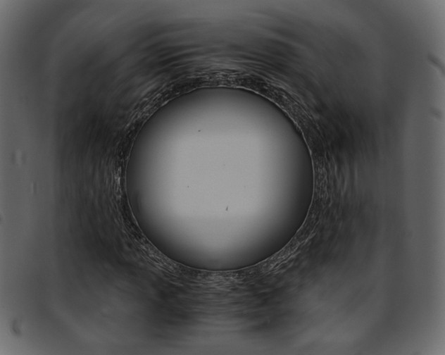 X0000094911013200711290955