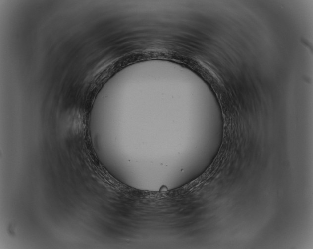 X0000094911015200711290955