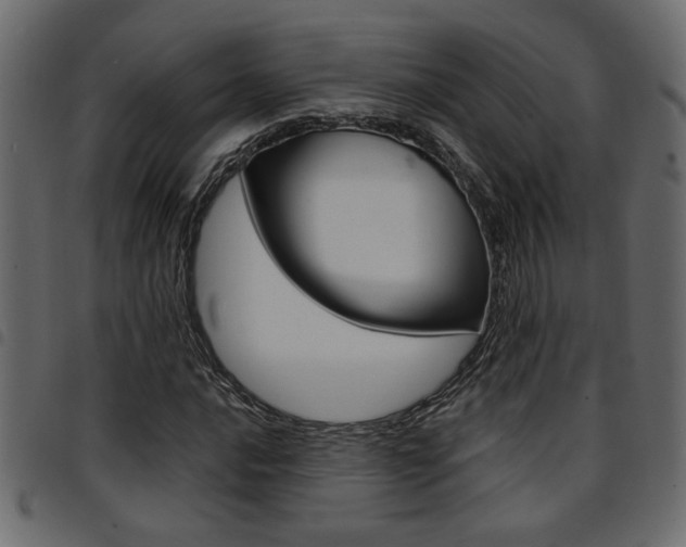 X0000094911016200711290955