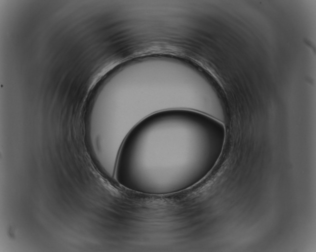 X0000094911018200711290955