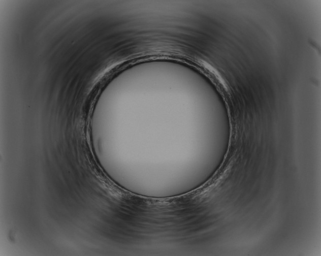 X0000094911019200711290955