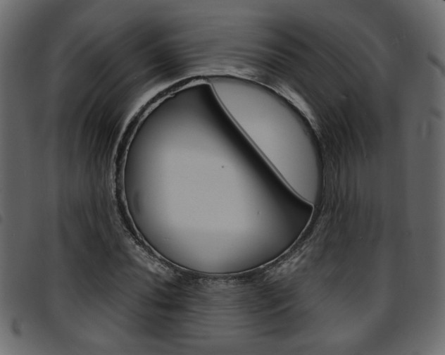 X0000094911020200711290955