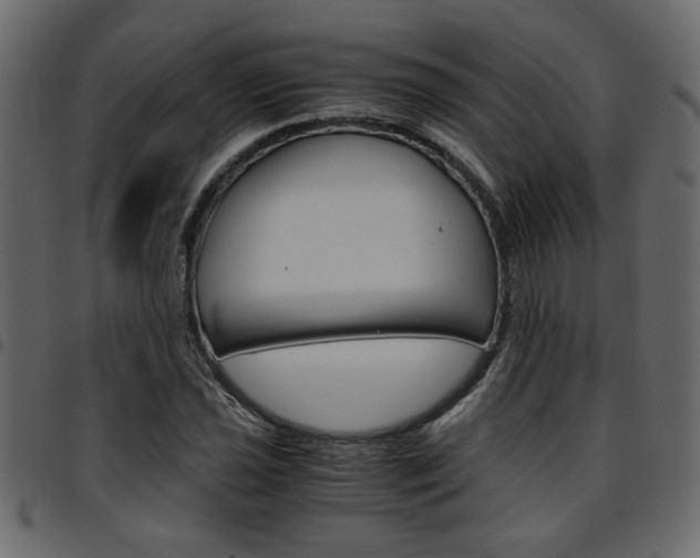 X0000094911021200711290955