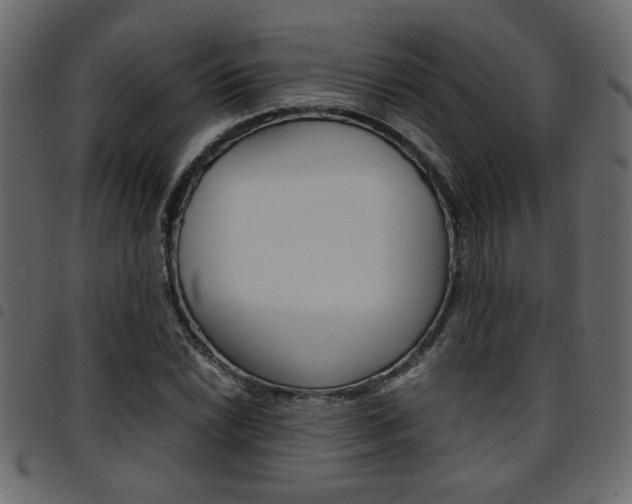 X0000094911022200711290955