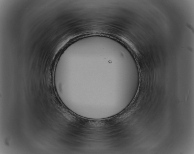 X0000094911023200711290955