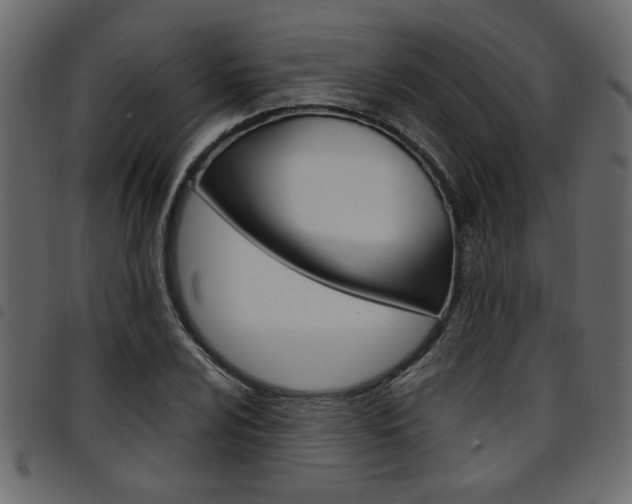 X0000094911024200711290955
