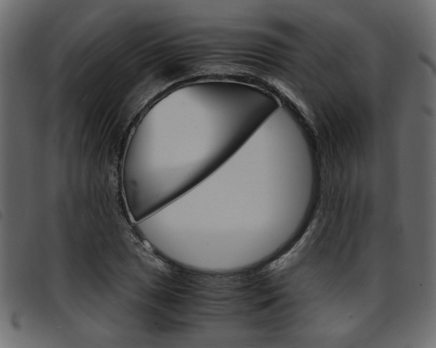 X0000094911025200711290955