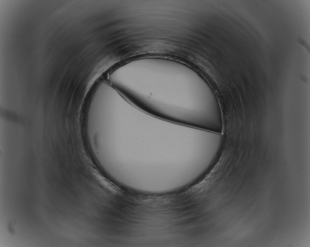X0000094911026200711290955