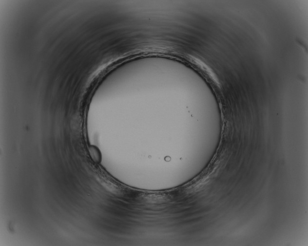 X0000094911027200711290955
