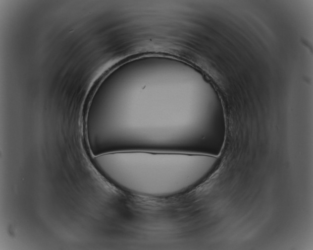 X0000094911028200711290955