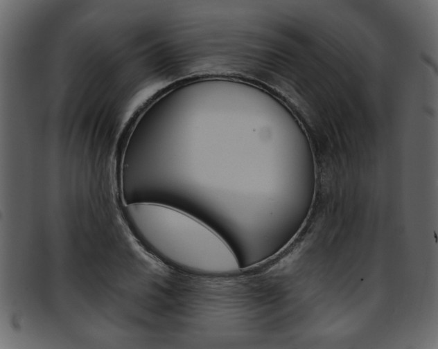 X0000094911030200711290955