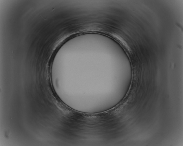 X0000094911031200711290955