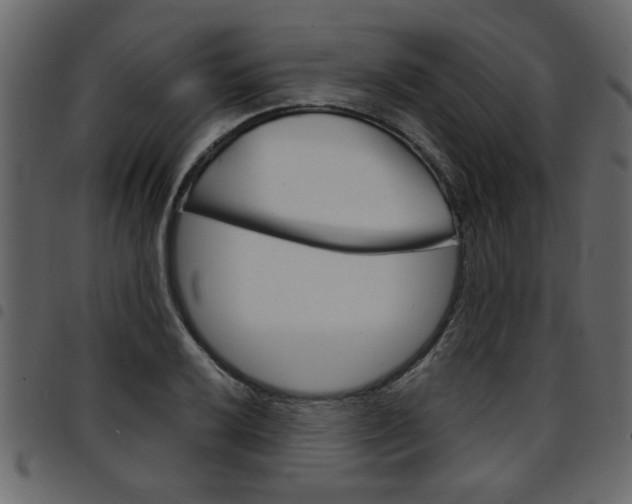 X0000094911032200711290955