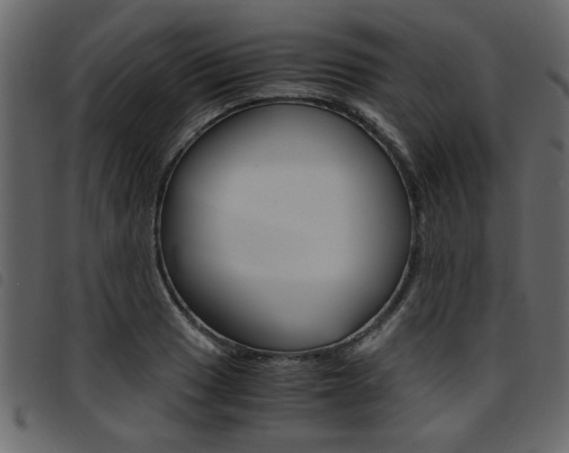 X0000094911033200711290955