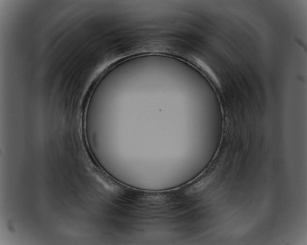 X0000094911035200711290955
