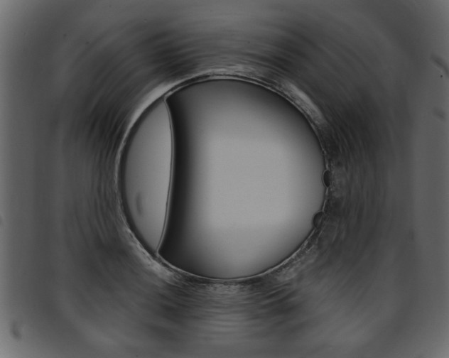 X0000094911036200711290955