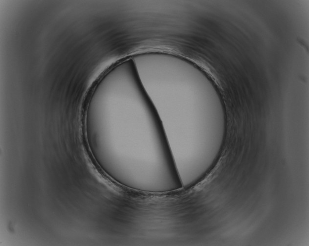X0000094911038200711290955
