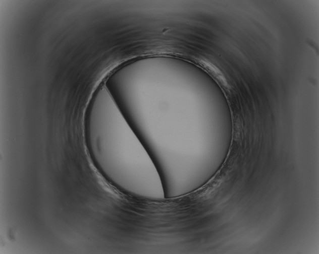 X0000094911039200711290955