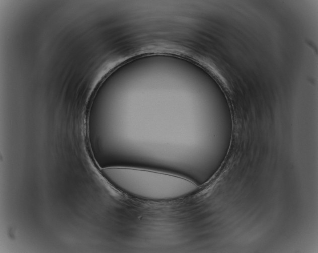 X0000094911040200711290955