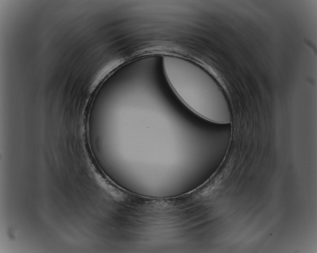 X0000094911042200711290955
