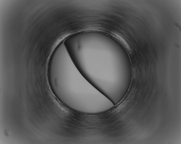X0000094911043200711290955