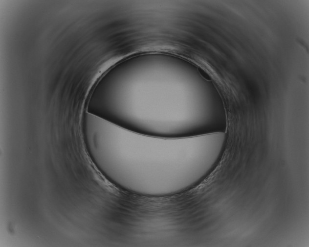 X0000094911044200711290955