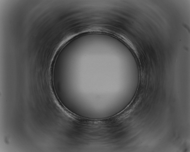 X0000094911045200711290955