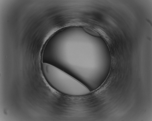 X0000094911046200711290955