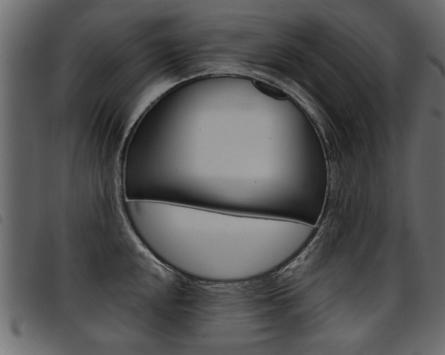 X0000094911048200711290955