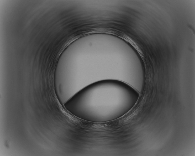 X0000094911049200711290955