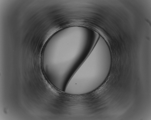 X0000094911050200711290955