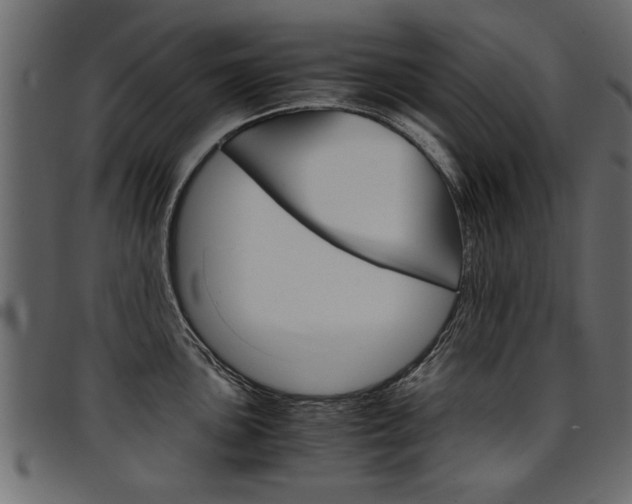 X0000094911051200711290955