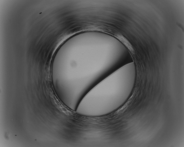 X0000094911052200711290955