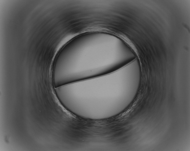 X0000094911053200711290955