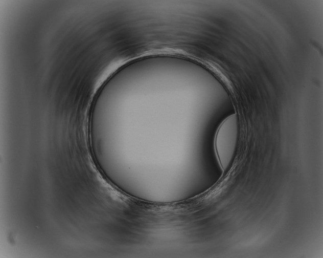 X0000094911054200711290955