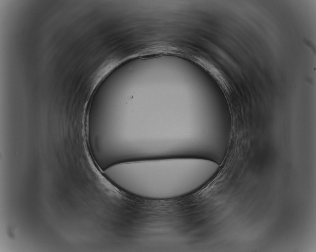 X0000094911055200711290955