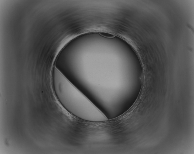 X0000094911056200711290955