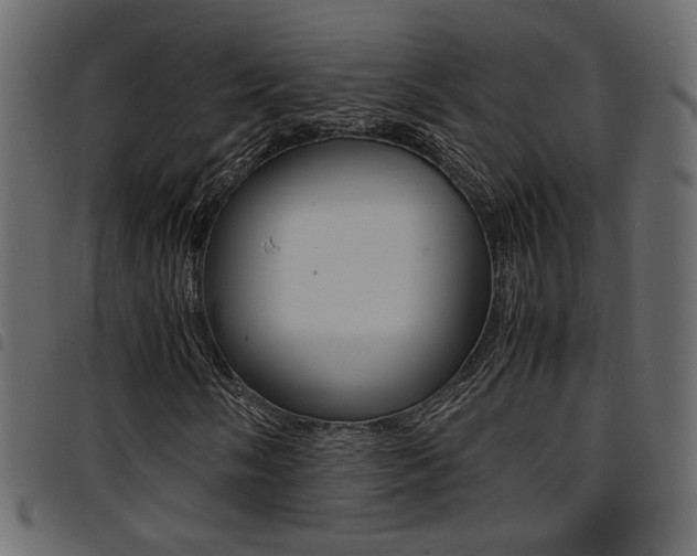 X0000094911058200711290955