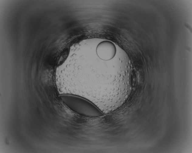 X0000094911059200711290955