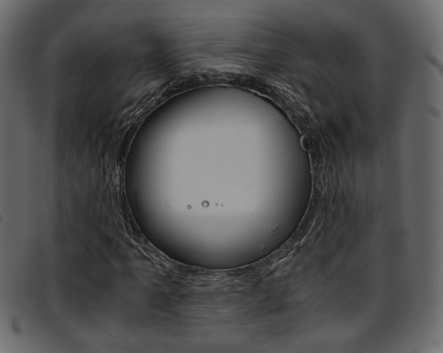 X0000094911061200711290955
