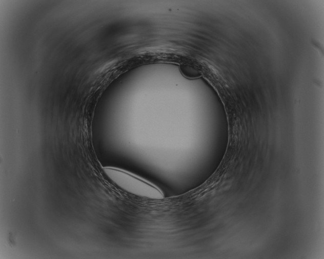 X0000094911062200711290955