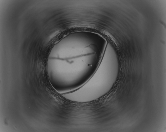 X0000094911064200711290955
